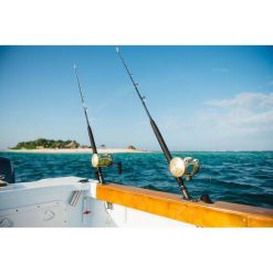 Overhead Reels Shimano Tiagra WA TI50W LRSA Overhead Reel 16 Overhead Reels Shimano Tiagra WA TI50W LRSA Overhead Reel -Fishing-reels Sales BCF 136208 03 hi res