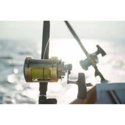 Overhead Reels Shimano Tiagra WA TI50W LRSA Overhead Reel 18 Overhead Reels Shimano Tiagra WA TI50W LRSA Overhead Reel -Fishing-reels Sales BCF 136208 05 hi res