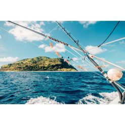 Overhead Reels Shimano Tiagra WA TI50W LRSA Overhead Reel 20 Overhead Reels Shimano Tiagra WA TI50W LRSA Overhead Reel -Fishing-reels Sales BCF 136208 07 hi res